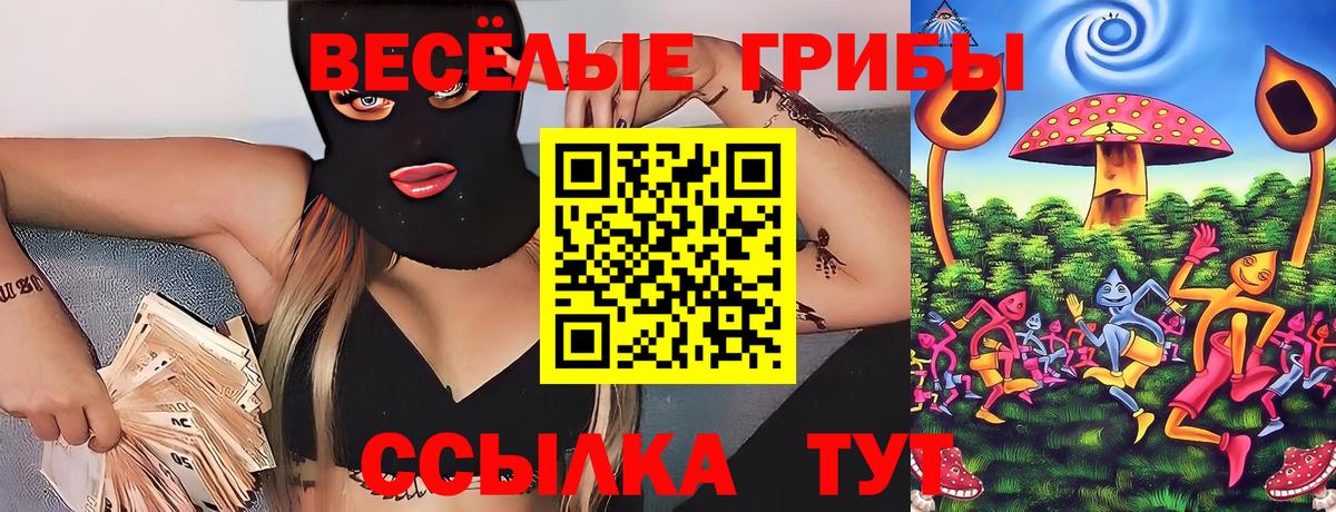 Партизанск  сколько стоит  Вход с VPN  Галлюциногенные грибы MAGIC MUSHROOMS 